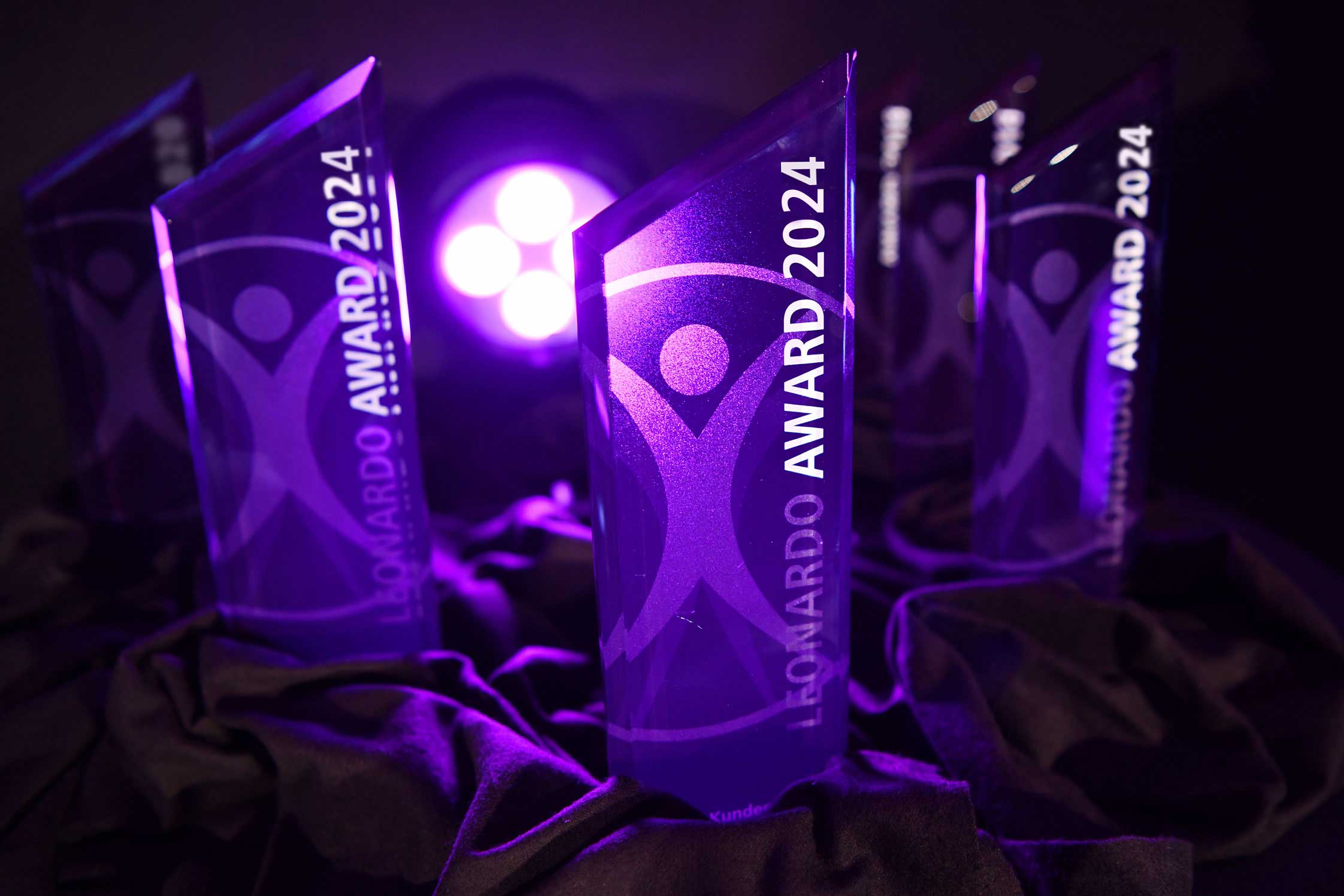 leonardoaward_24_Award